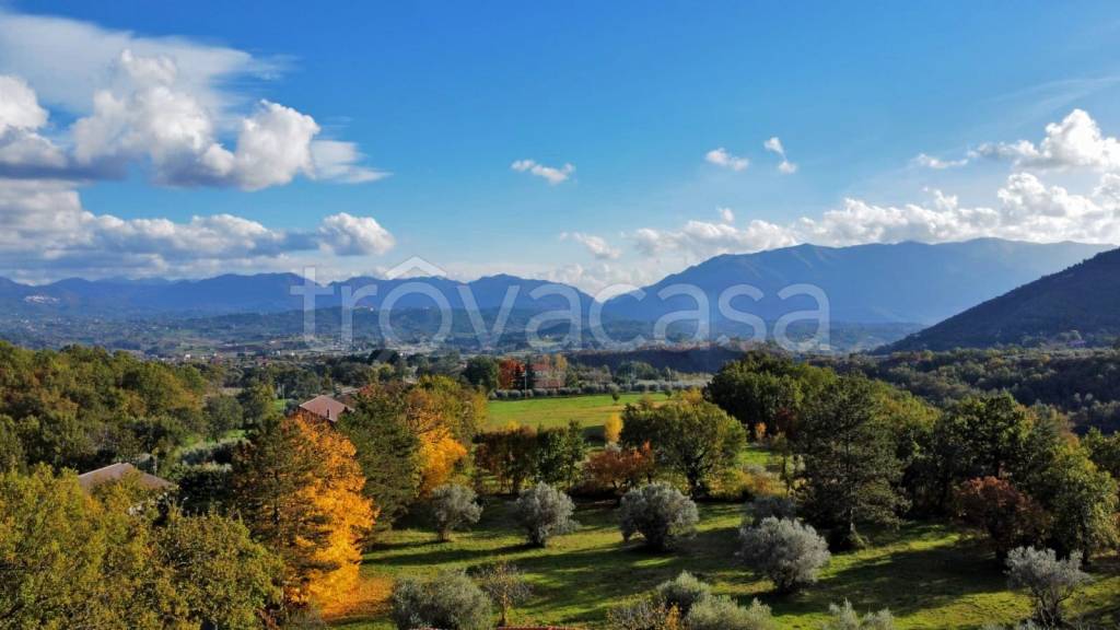 immagine annuncio 4 di 8