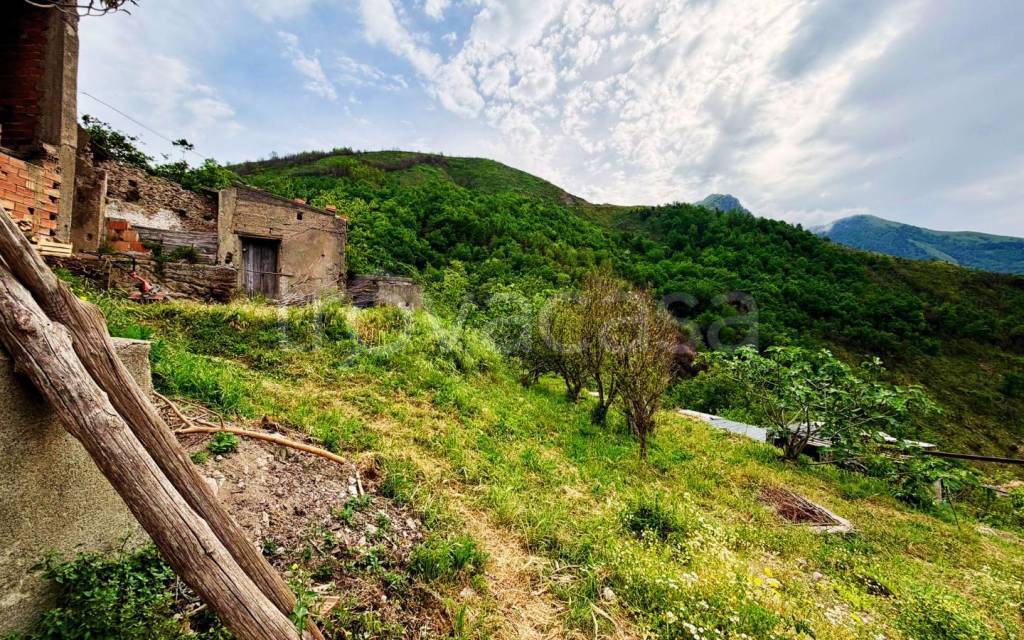 immagine annuncio 4 di 6