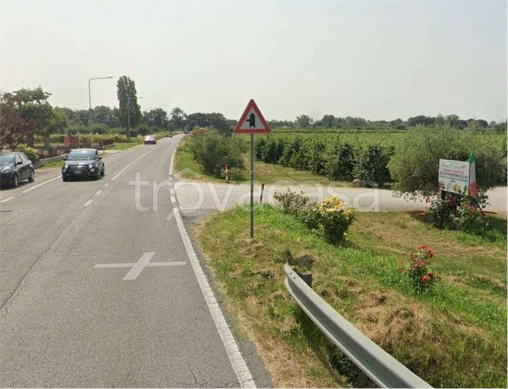 immagine annuncio 3 di 12