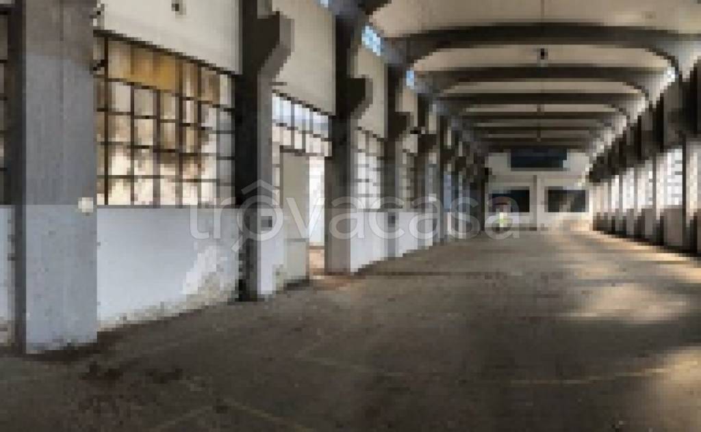 immagine annuncio 3 di 6