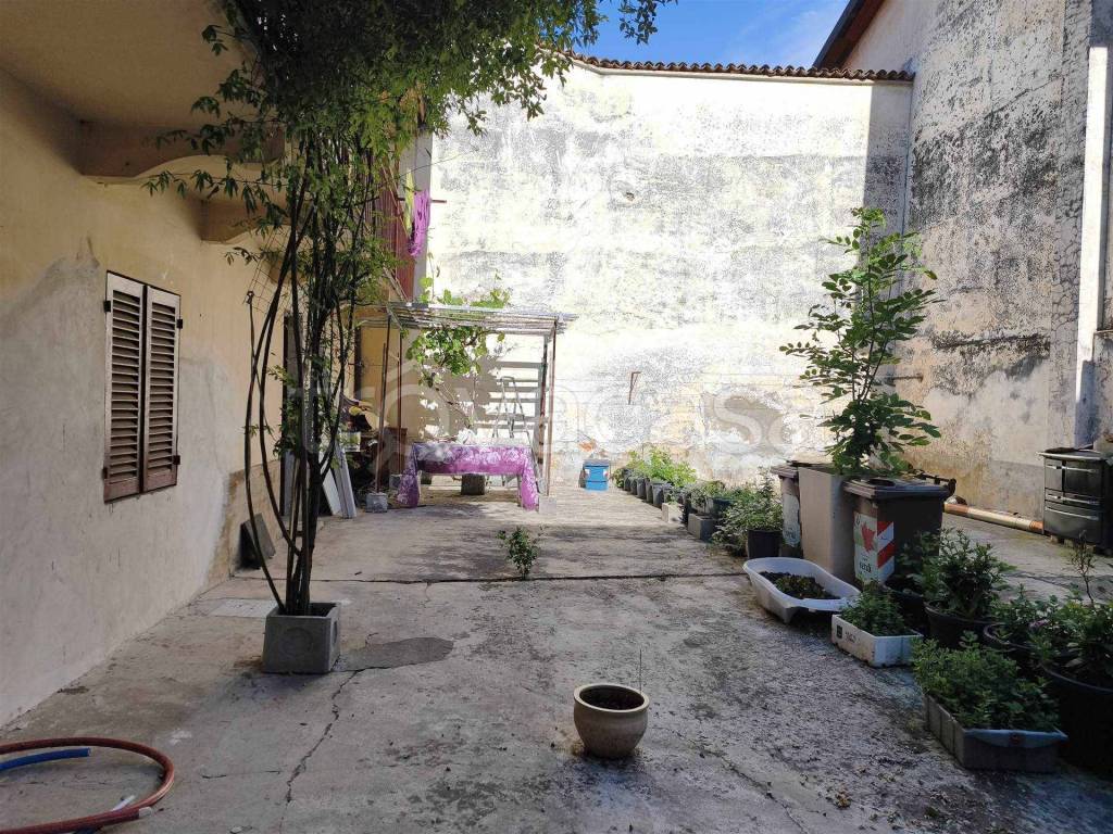 immagine annuncio 3 di 14