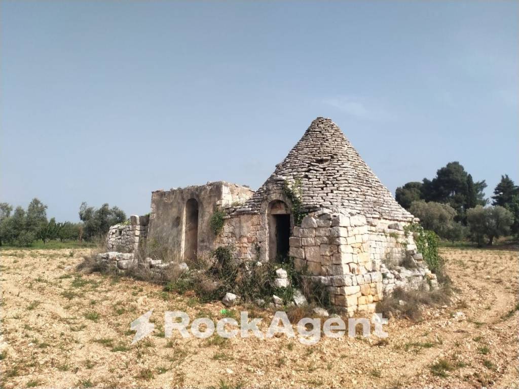 immagine annuncio 5 di 13