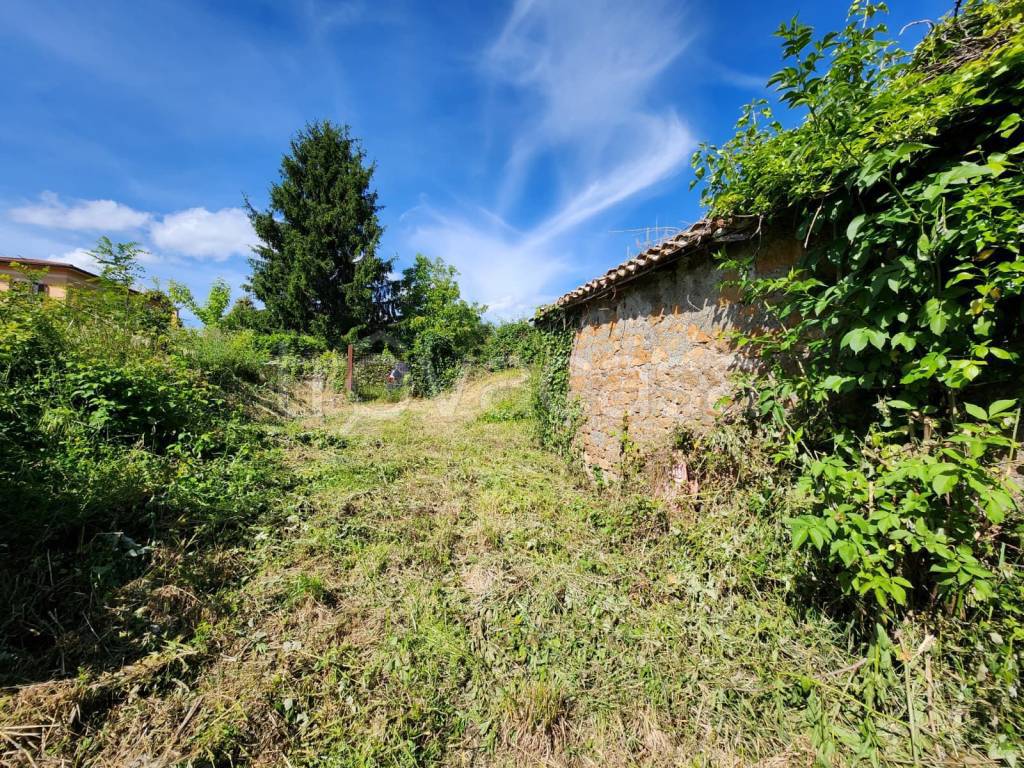 immagine annuncio 3 di 6