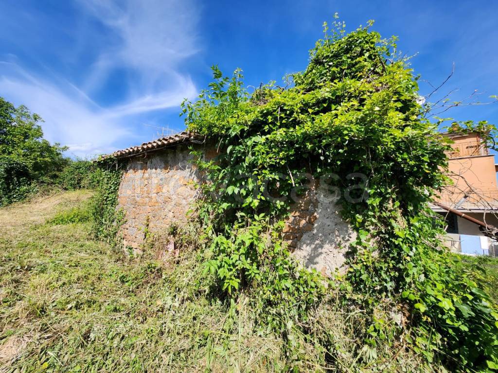 immagine annuncio 5 di 6