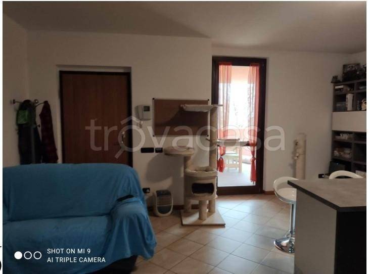 immagine annuncio 5 di 8