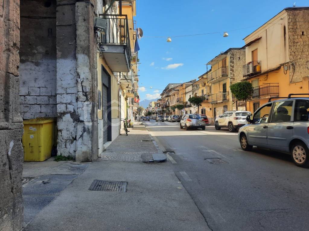 immagine annuncio 10 di 14