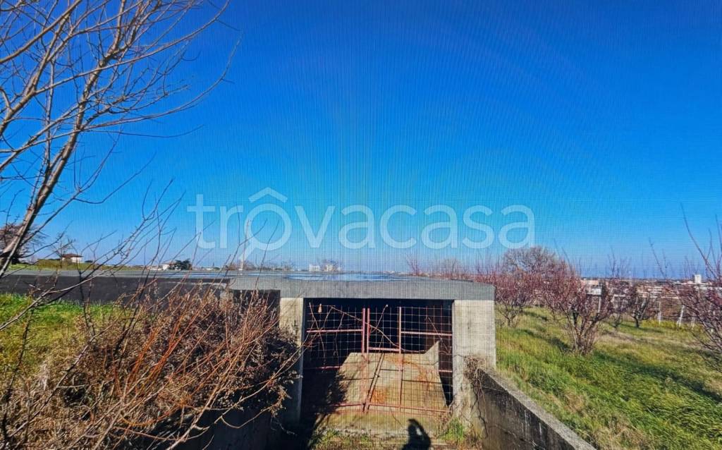 immagine annuncio 11 di 13