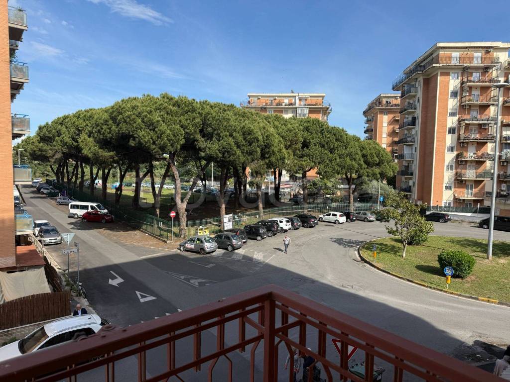 immagine annuncio 11 di 14