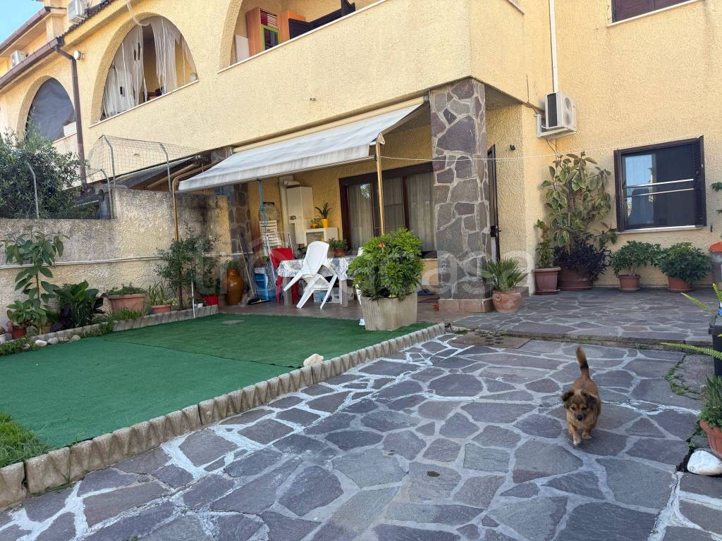 immagine annuncio 10 di 15