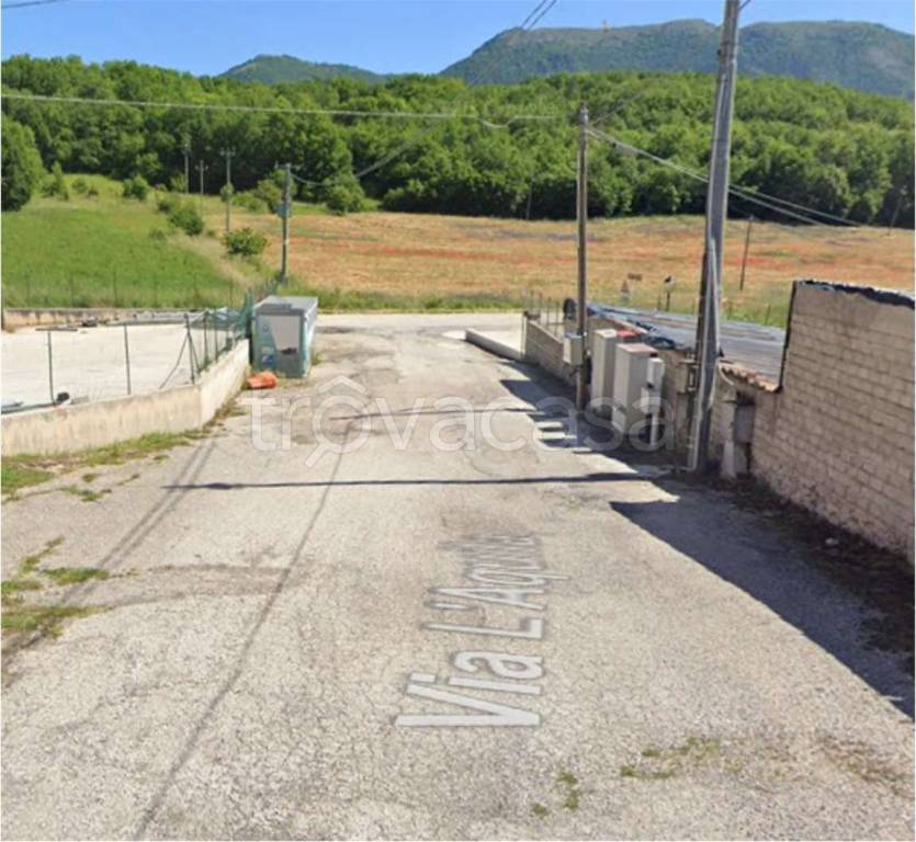 immagine annuncio 12 di 14