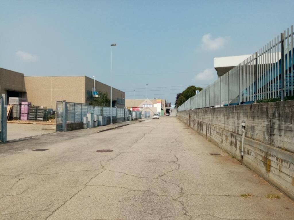 immagine annuncio 10 di 15