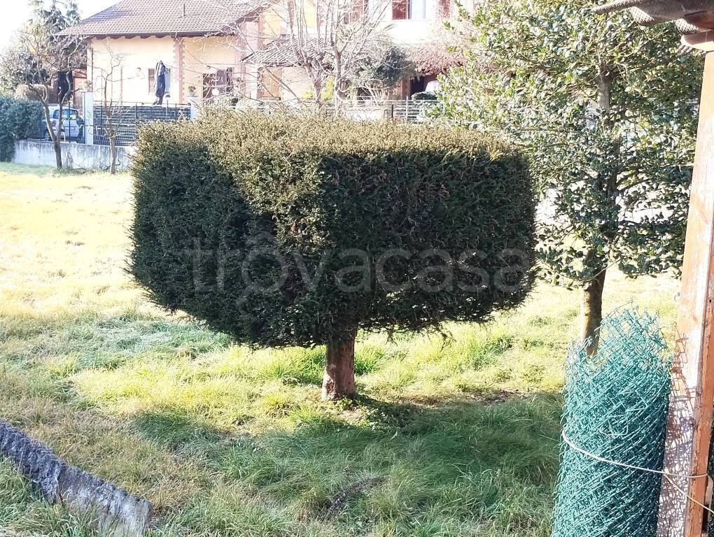 immagine annuncio 2 di 7