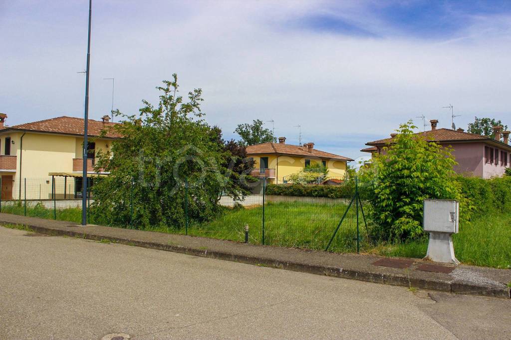 immagine annuncio 10 di 15