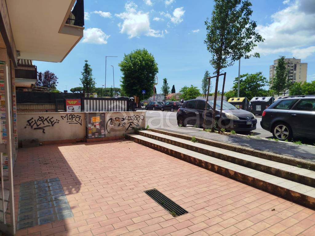immagine annuncio 11 di 15