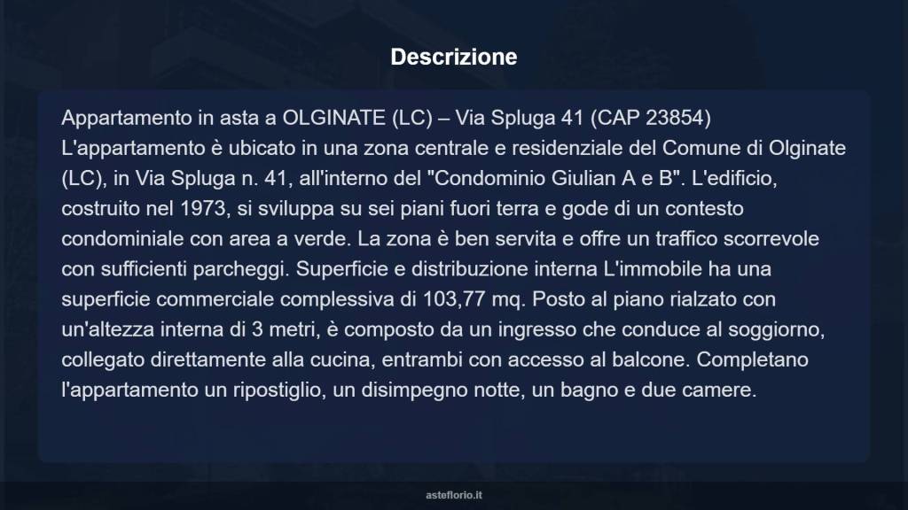 immagine annuncio 11 di 15