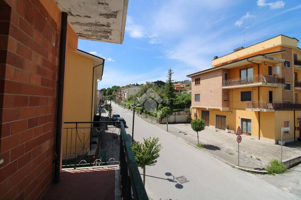 immagine annuncio 12 di 13