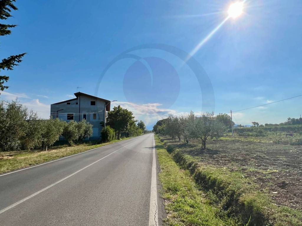 immagine annuncio 8 di 9