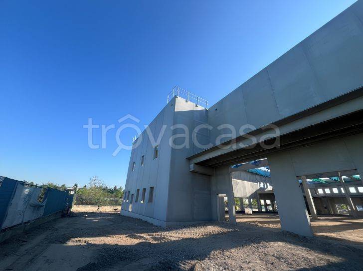 immagine annuncio 5 di 9