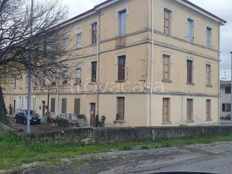 immagine annuncio 12 di 14