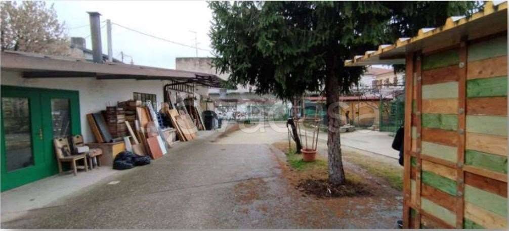 immagine annuncio 11 di 12