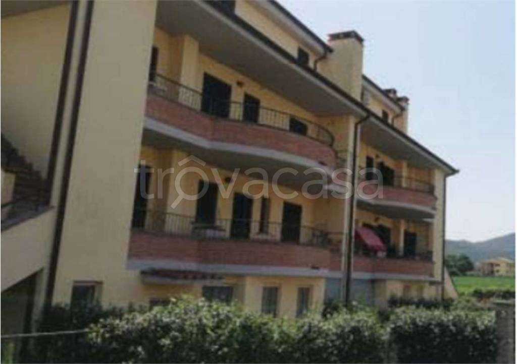 immagine annuncio 4 di 9