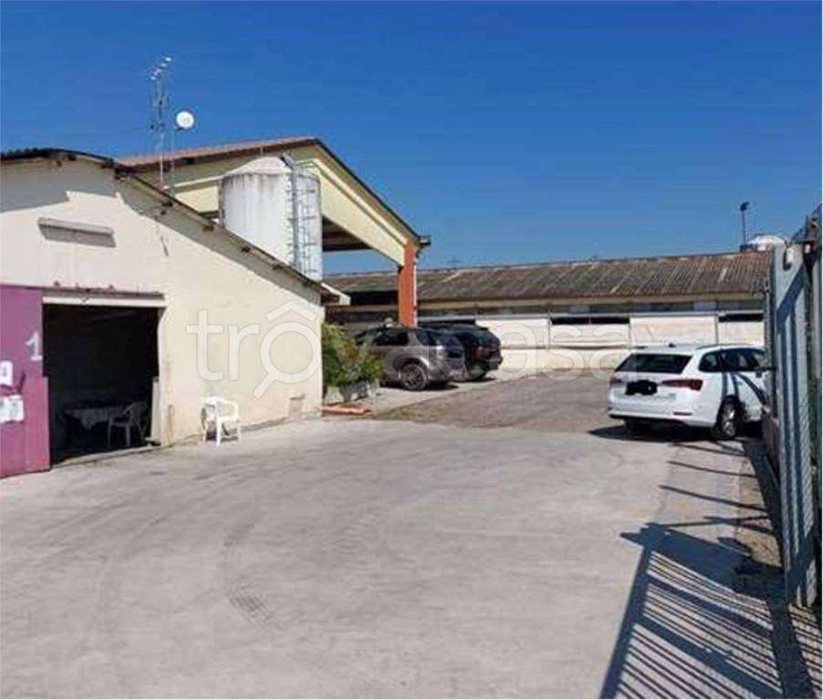 immagine annuncio 3 di 11