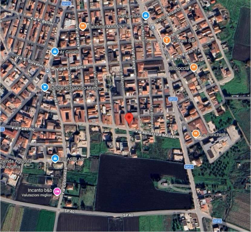 immagine annuncio 2 di 11