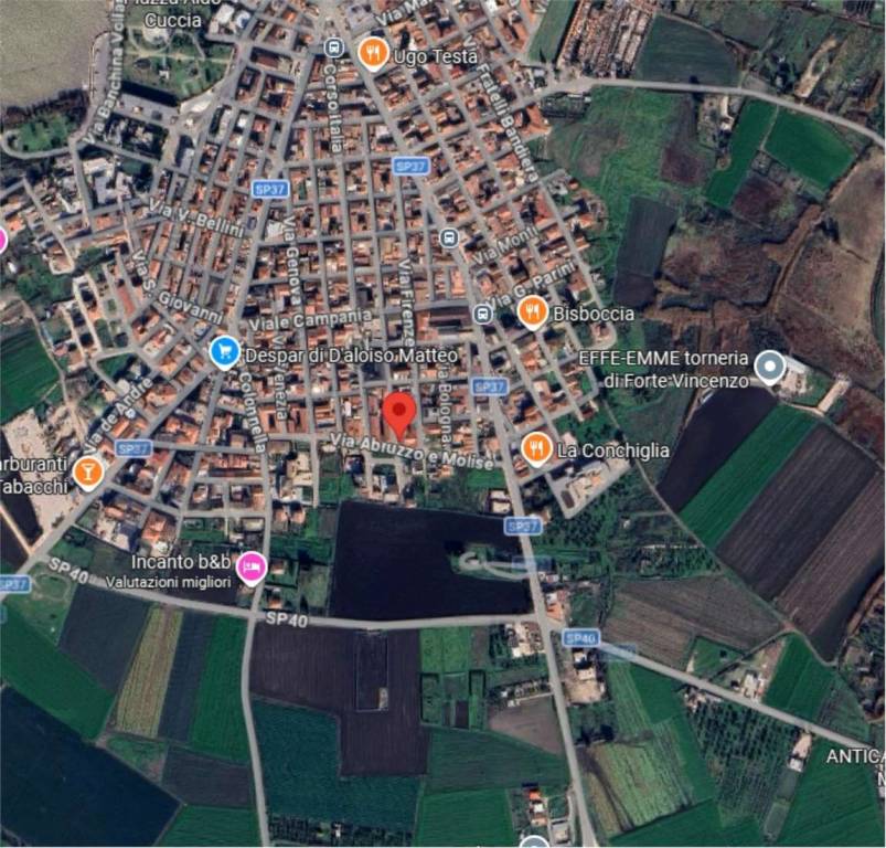 immagine annuncio 3 di 11