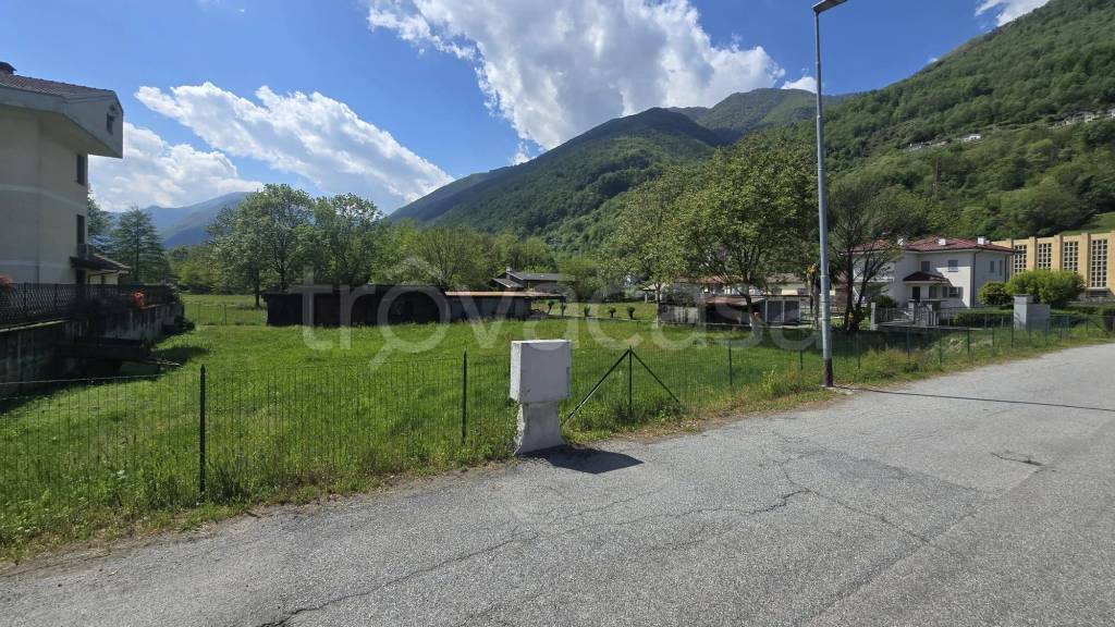 immagine annuncio 1 di 3