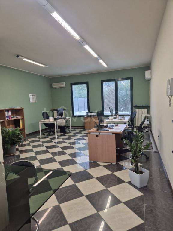 immagine annuncio 1 di 4