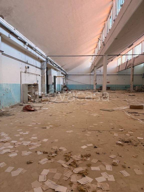 immagine annuncio 3 di 6