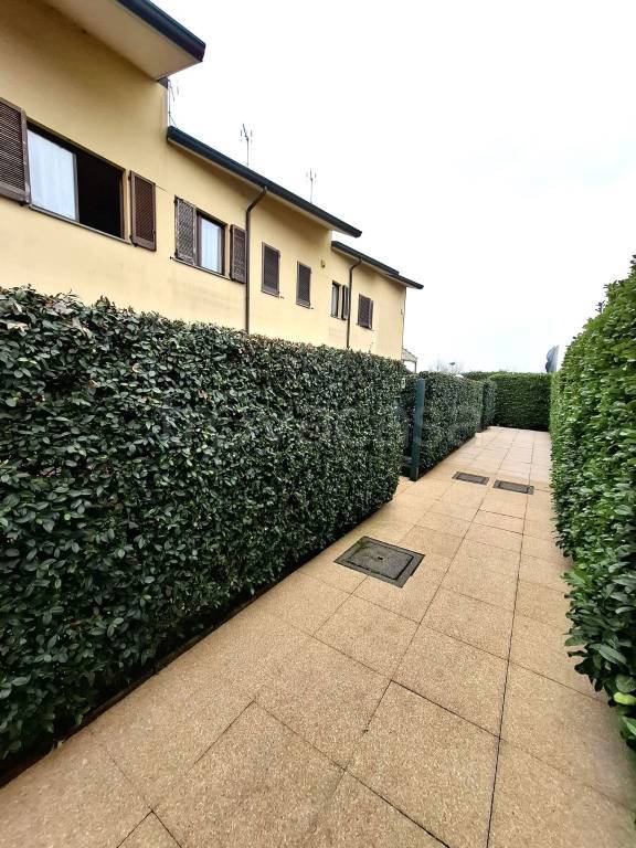 immagine annuncio 2 di 15