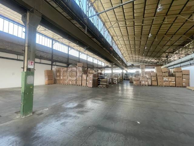 immagine annuncio 6 di 14