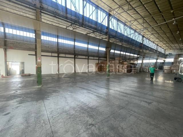 immagine annuncio 8 di 14