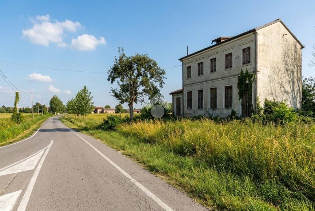 immagine annuncio 1 di 4
