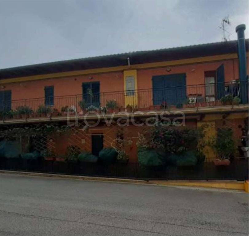 immagine annuncio 9 di 12