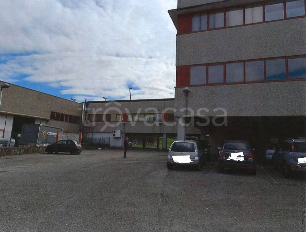 immagine annuncio 3 di 13