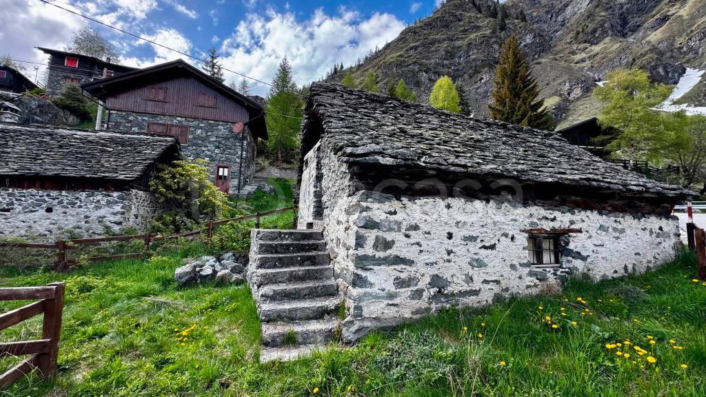 immagine annuncio 4 di 12