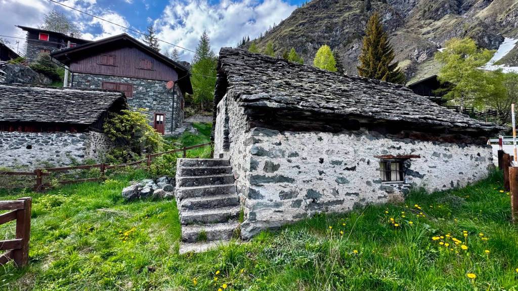 immagine annuncio 5 di 12
