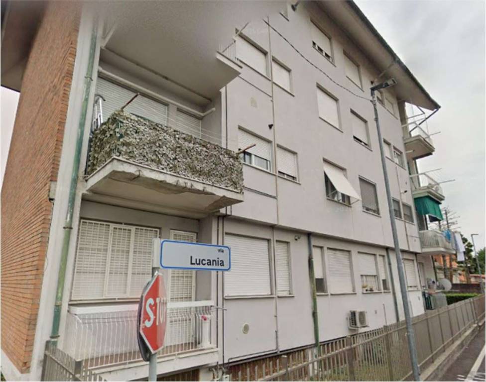 immagine annuncio 10 di 14