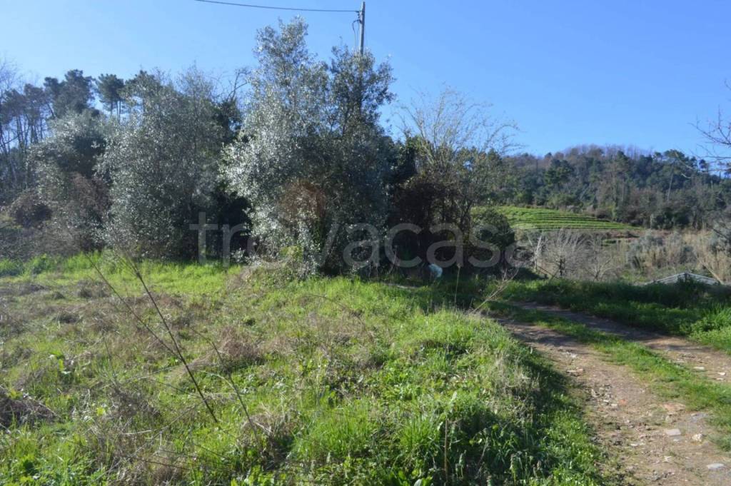 immagine annuncio 10 di 14
