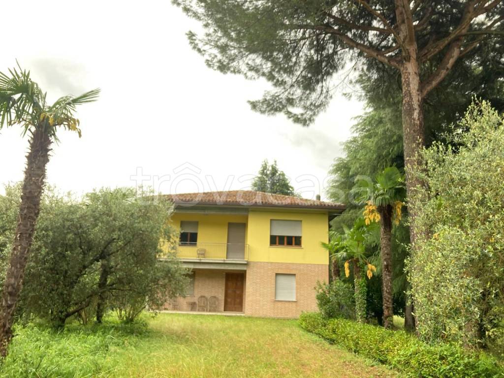immagine annuncio 5 di 14