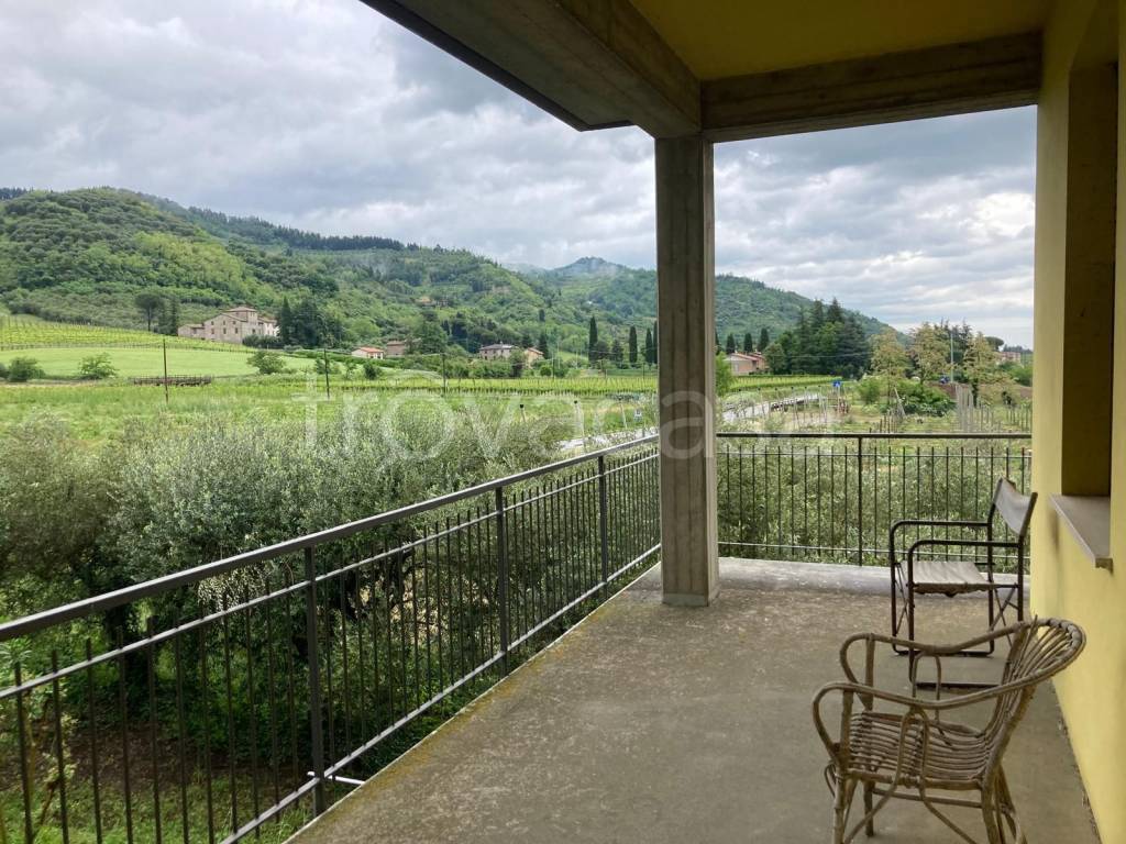 immagine annuncio 7 di 14