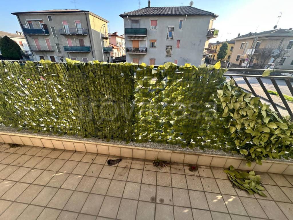 immagine annuncio 3 di 8
