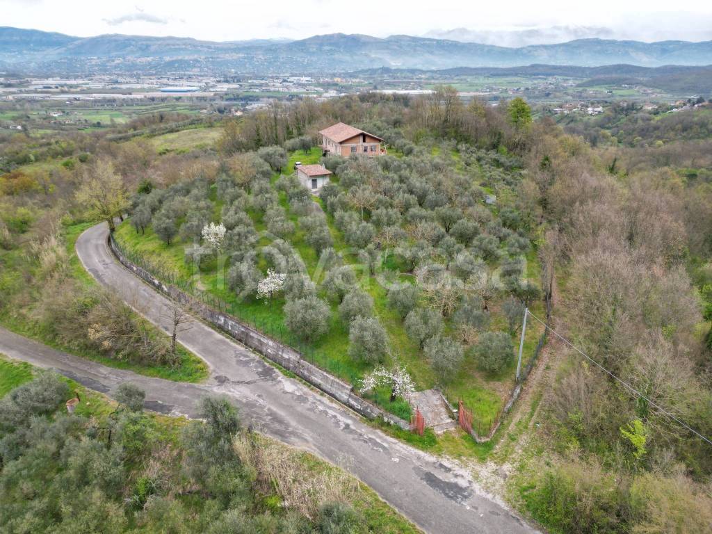 immagine annuncio 8 di 12