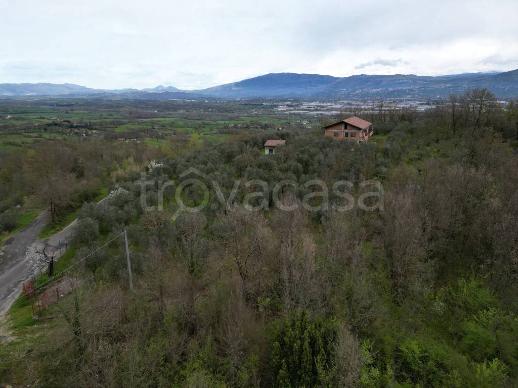 immagine annuncio 9 di 12