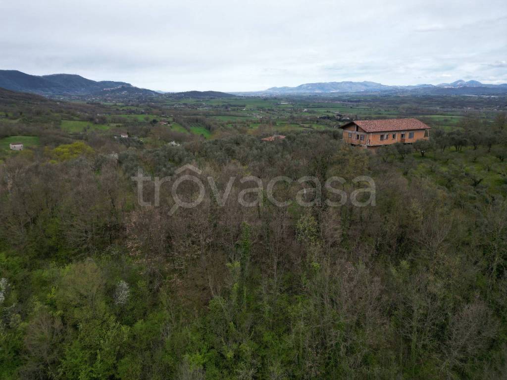 immagine annuncio 10 di 12