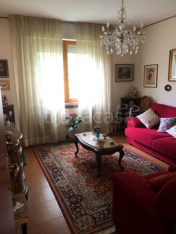 immagine annuncio 9 di 13