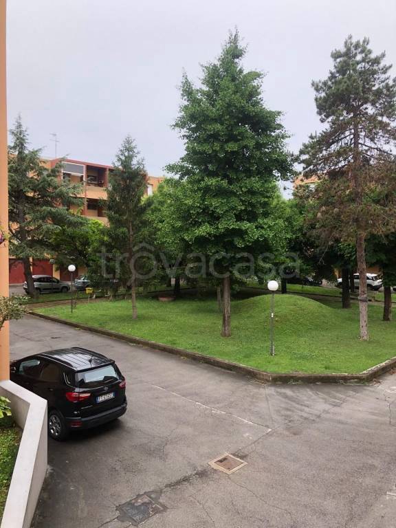 immagine annuncio 10 di 13