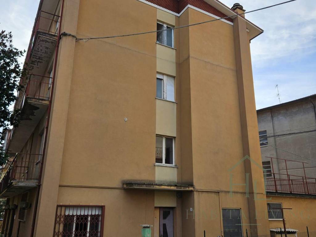 immagine annuncio 10 di 14